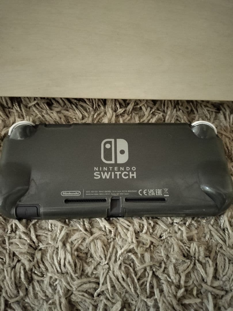 Nintendo Switch Lite グレー 本体 ソフト付き