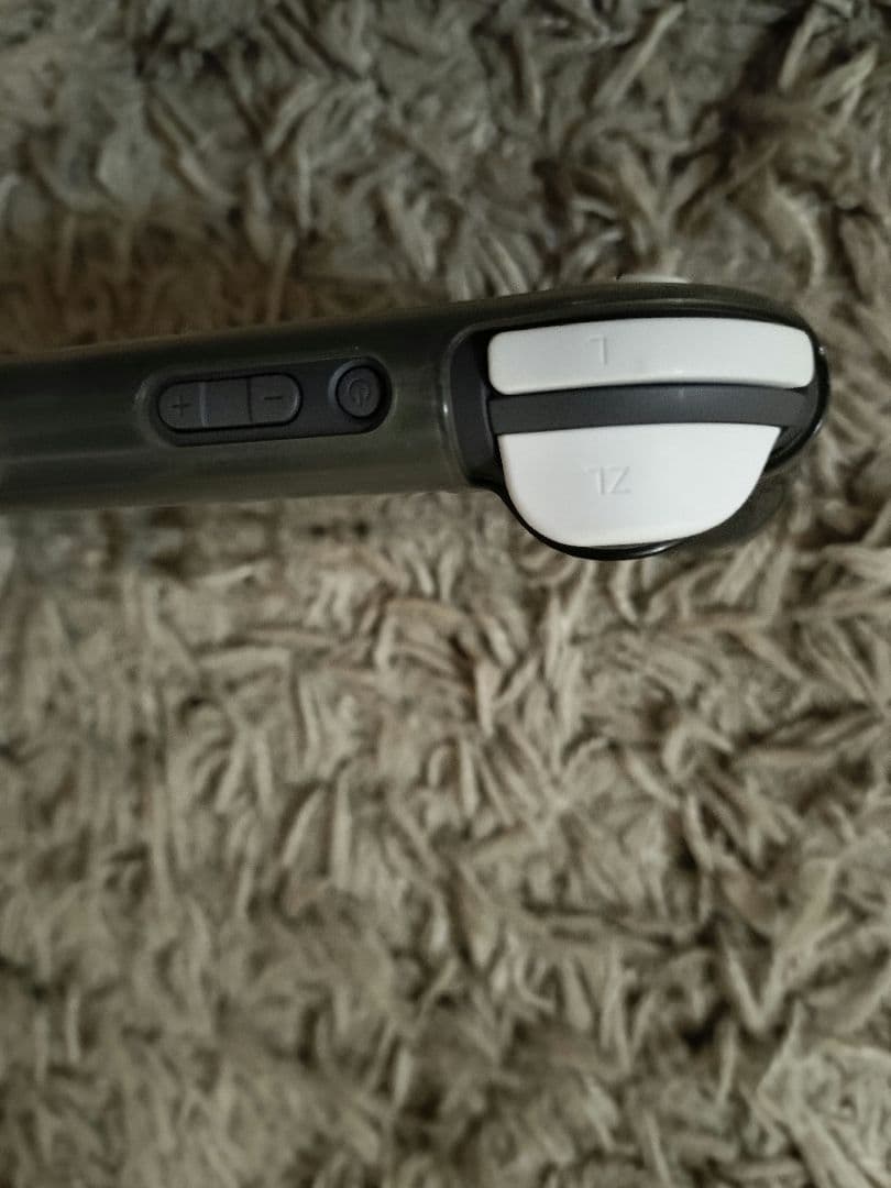 Nintendo Switch Lite グレー 本体 ソフト付き