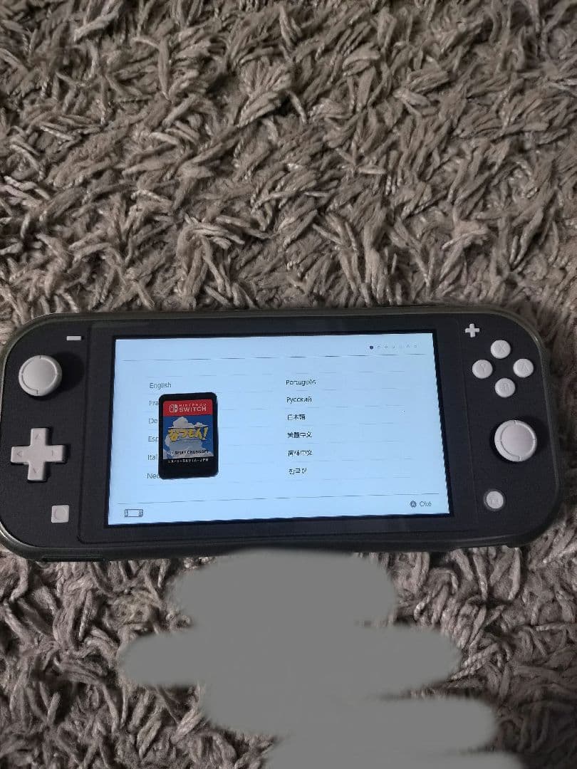 Nintendo Switch Lite グレー 本体 ソフト付き