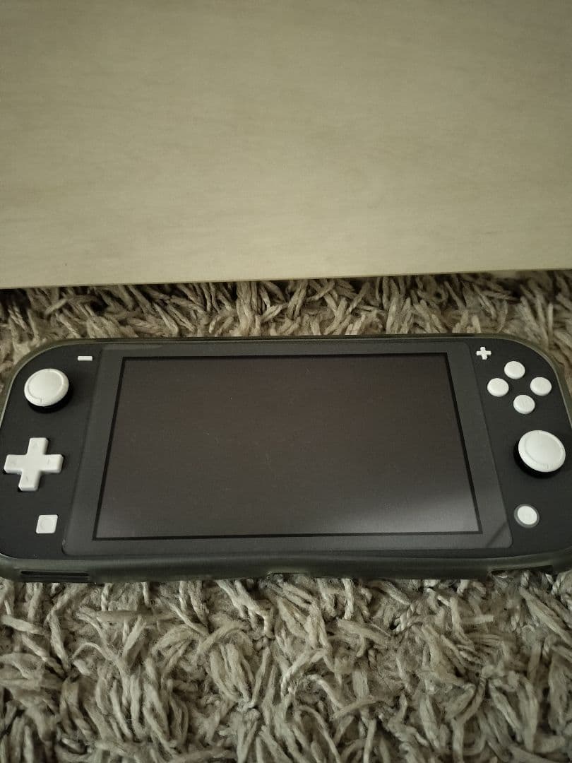 Nintendo Switch Lite グレー 本体 ソフト付き