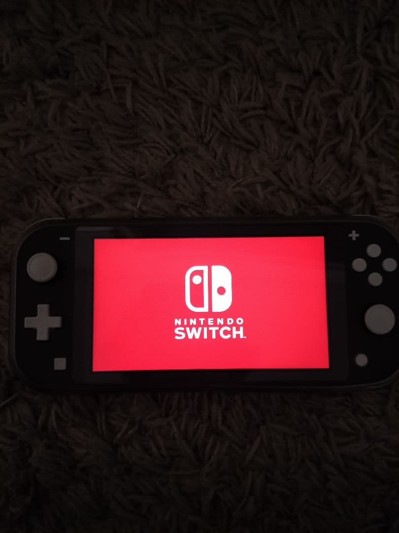 Nintendo Switch Lite グレー 本体 ソフト付き