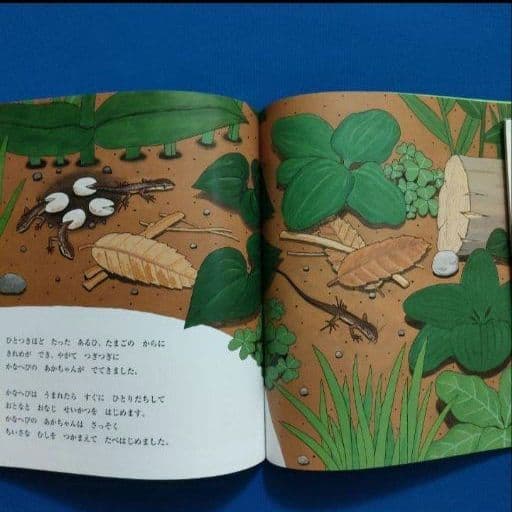 かがくのとも　こどものとも　かなへびくんの絵本　かなへび　福音館