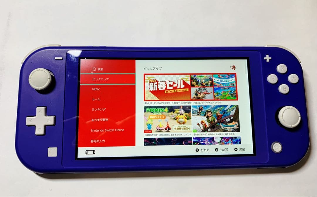 Nintendo Switch Lite 本体＋充電器＋USB充電ケーブル
