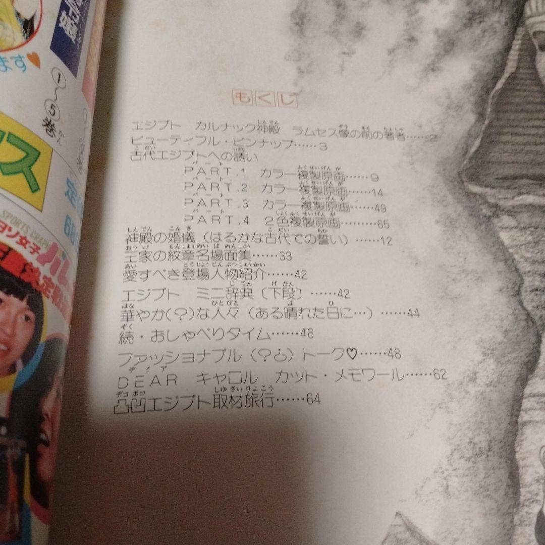 王家の紋章 細川知恵子 イラスト集♥おまけ付き