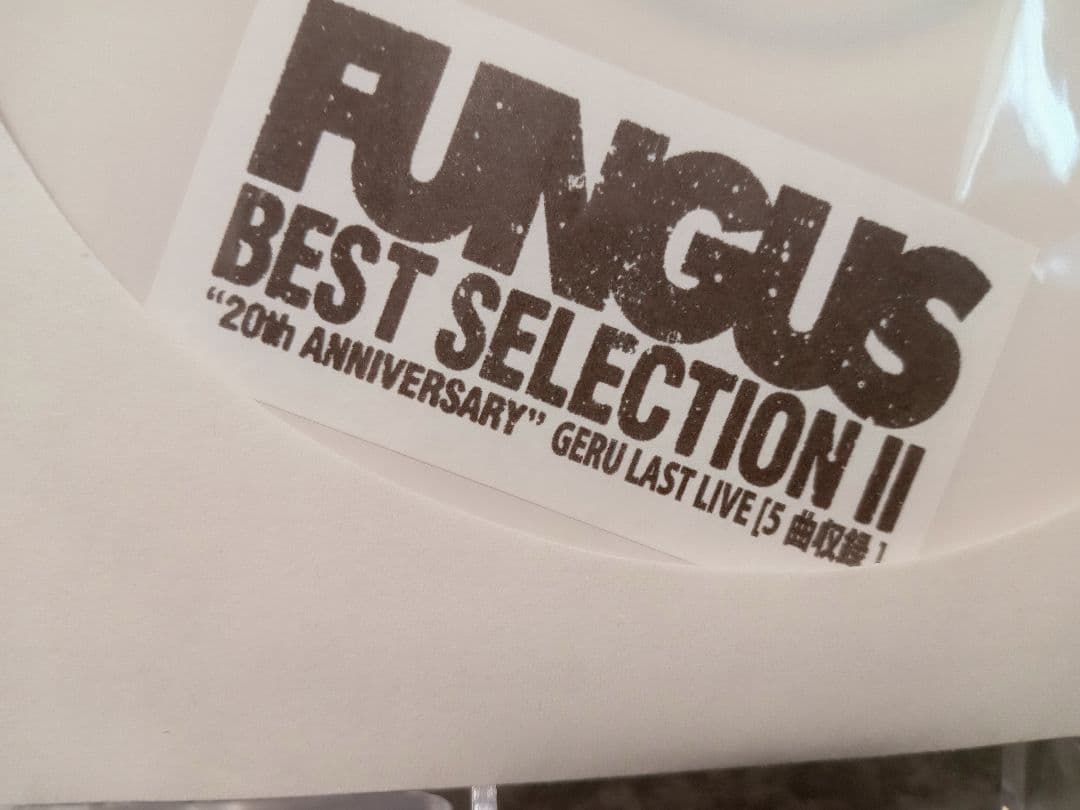 FUNGUS 完売間近！！