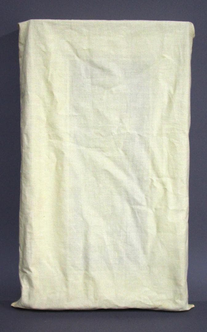 日本画 渋川矗(なおし)［ほそば のぎく］細葉野菊(別名：紀州菊) 高級額装