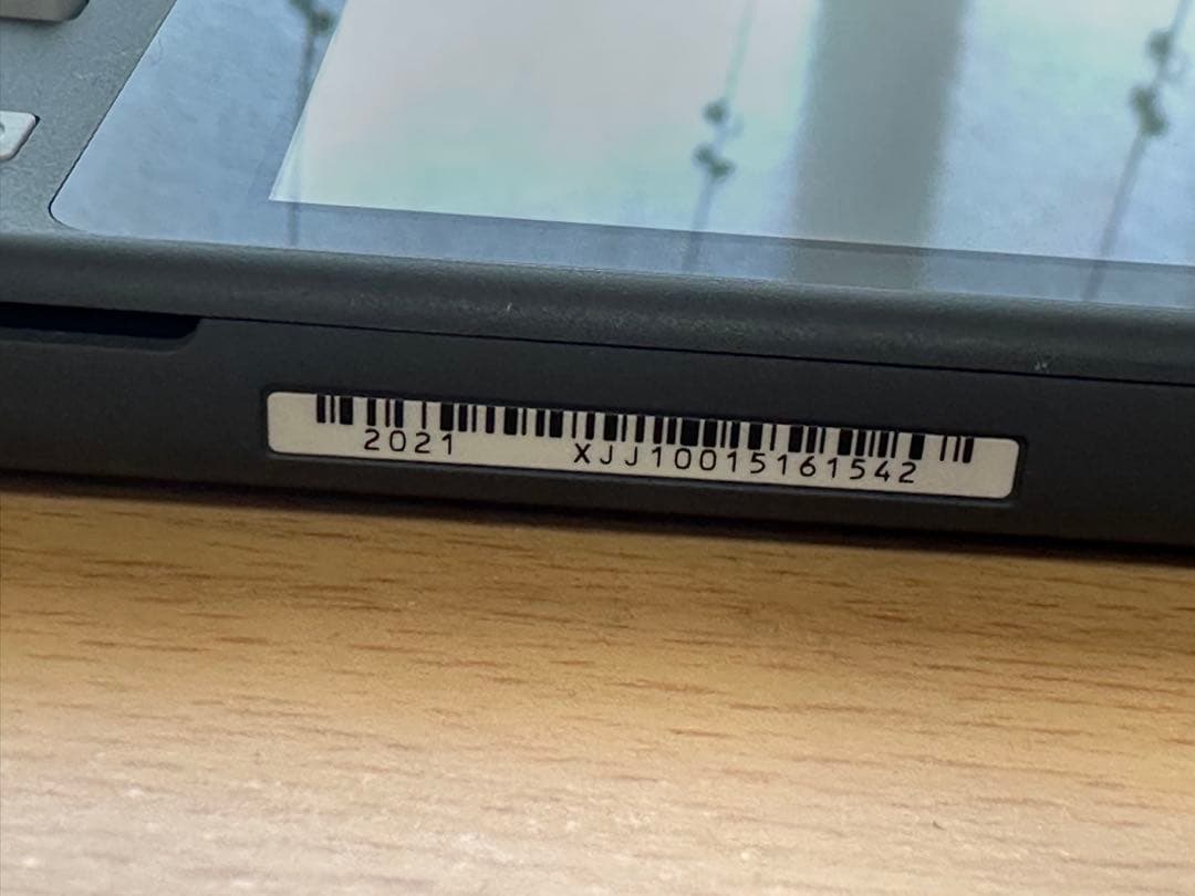 Nintendo Switch Lite グレー ととケースセット商品！