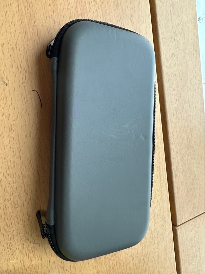 Nintendo Switch Lite グレー ととケースセット商品！