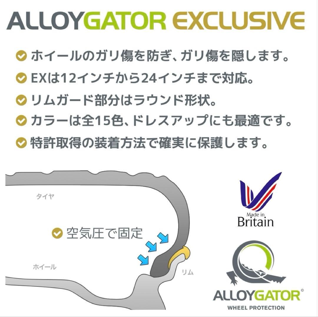 未使用、開封のみ　アロイゲーター Exclusive セット　ブラック