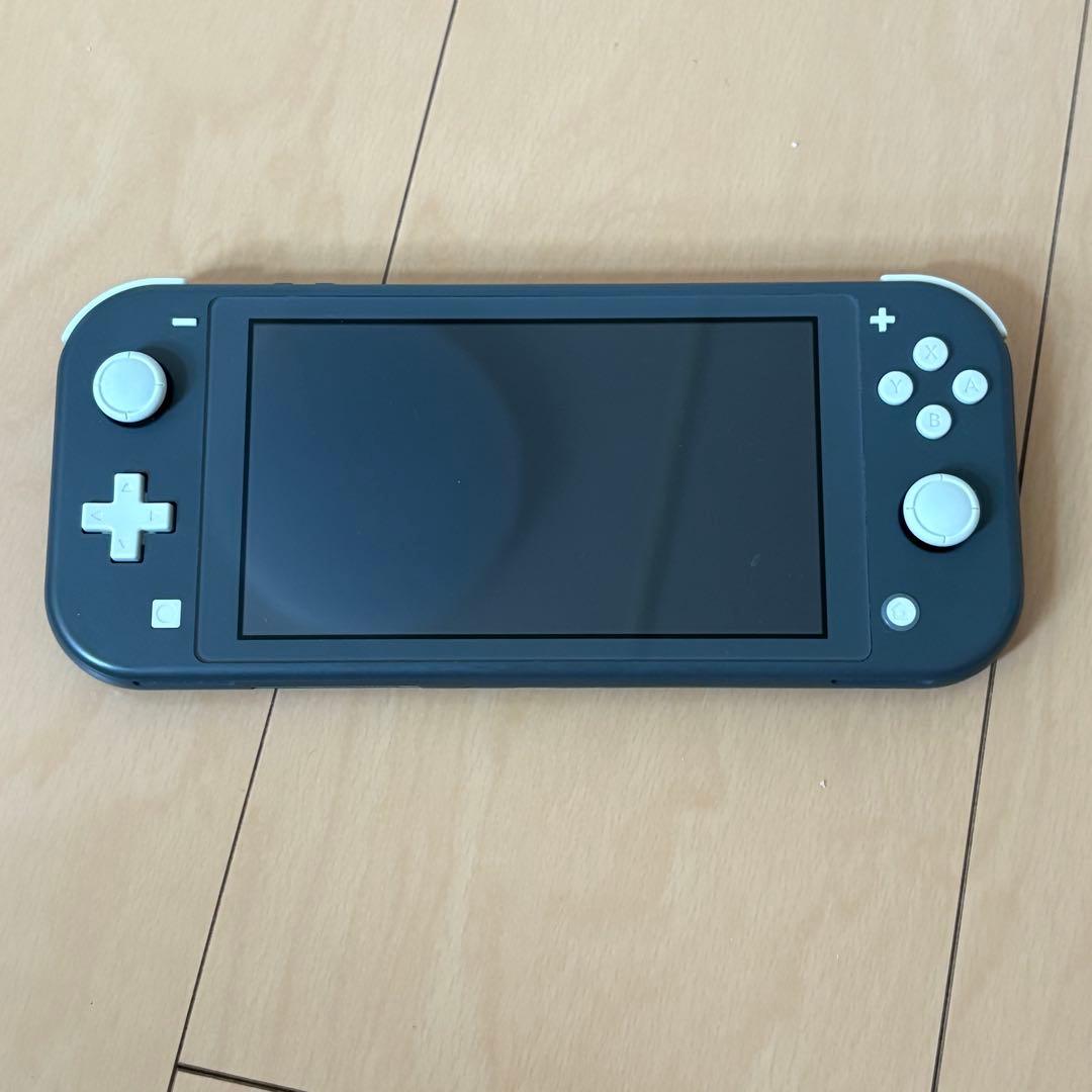 Nintendo Switch Lite グレー 本体 ジャンク品 充電器付き