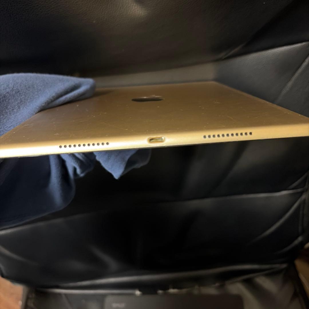 ゴールド iPad Pro