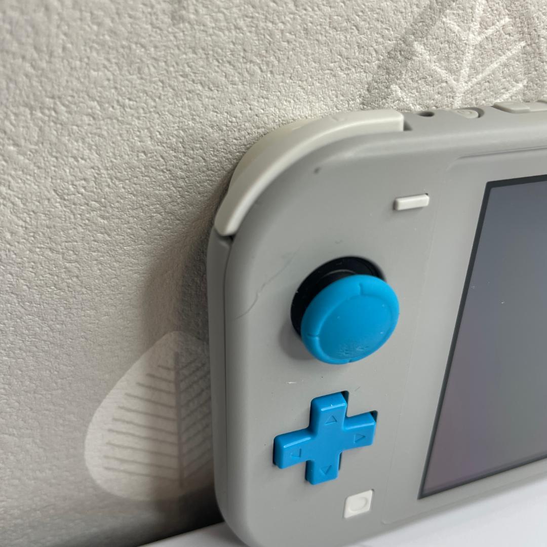 Nintendo Switch Lite ザシアン・ザマゼンタ 任天堂