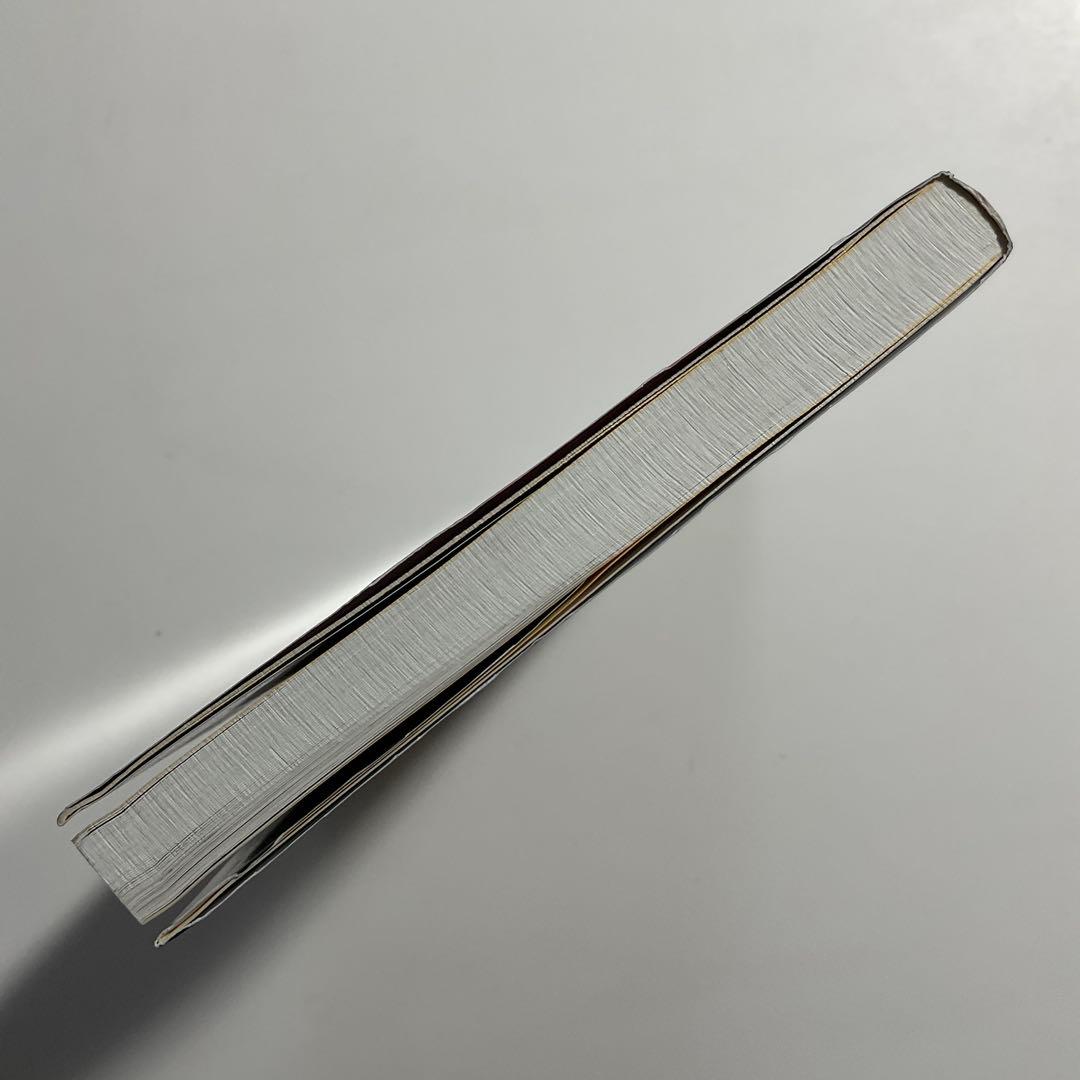 321　太極剣要訣 : 楊式太極剣の套路・技術分析 写真で学ぶ