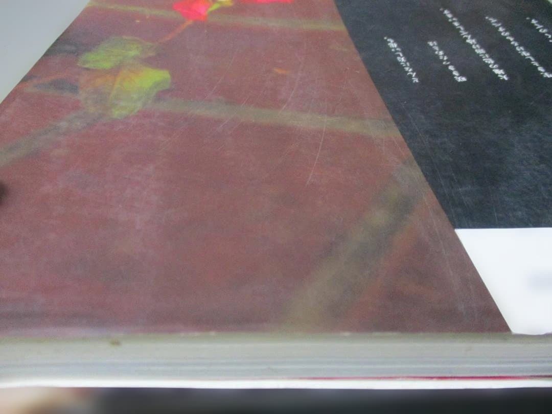 枯れていく花 (布花)