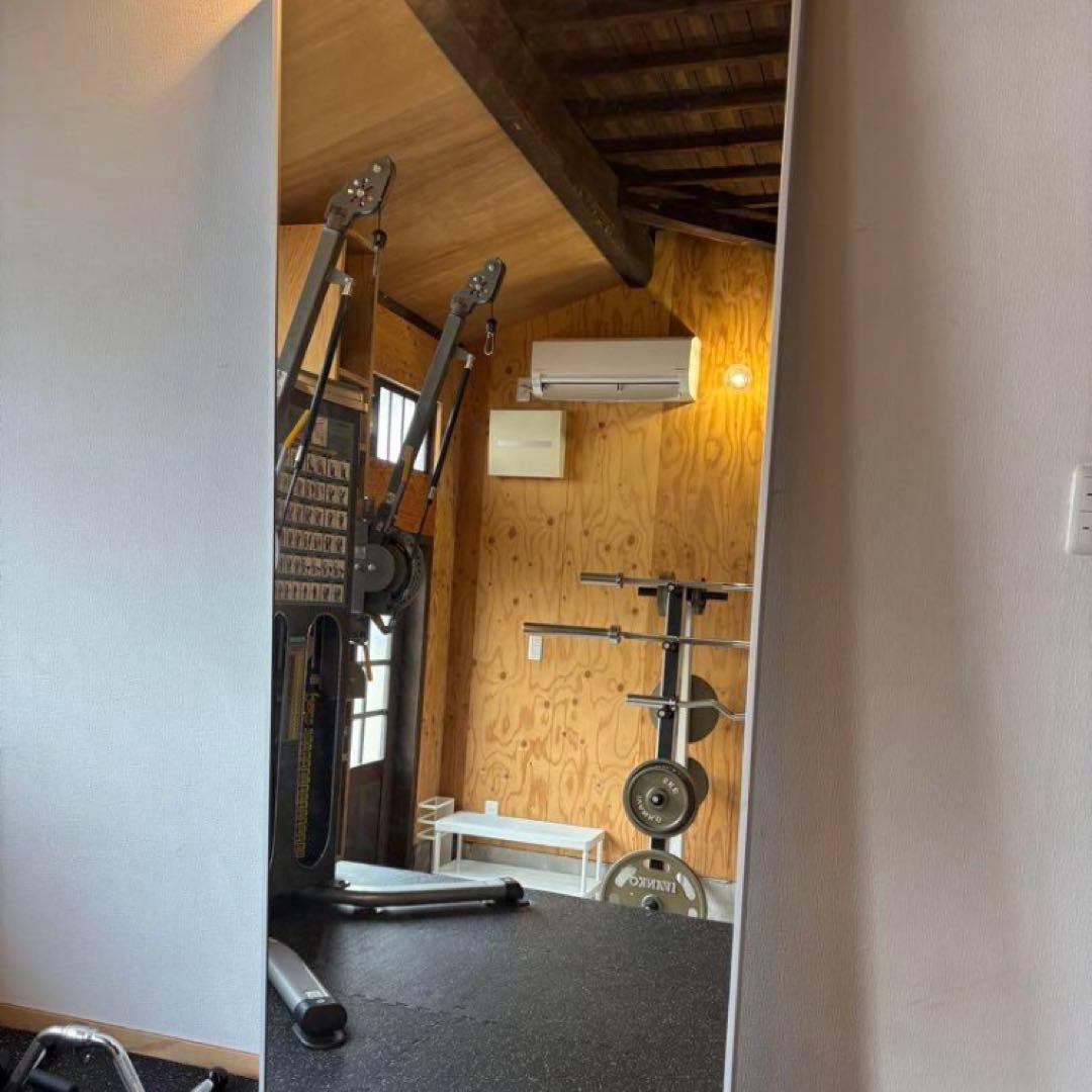 IKEA HOVET ホーヴェット ミラー, アルミニウム, 78x196 cm