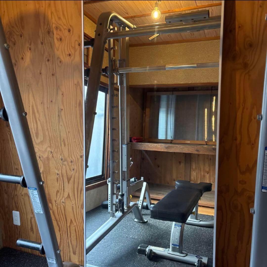 IKEA HOVET ホーヴェット ミラー, アルミニウム, 78x196 cm