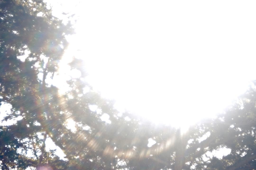 週末SALE★FXアダプター付美品★X-Fujinon55mm f2.2★作例有