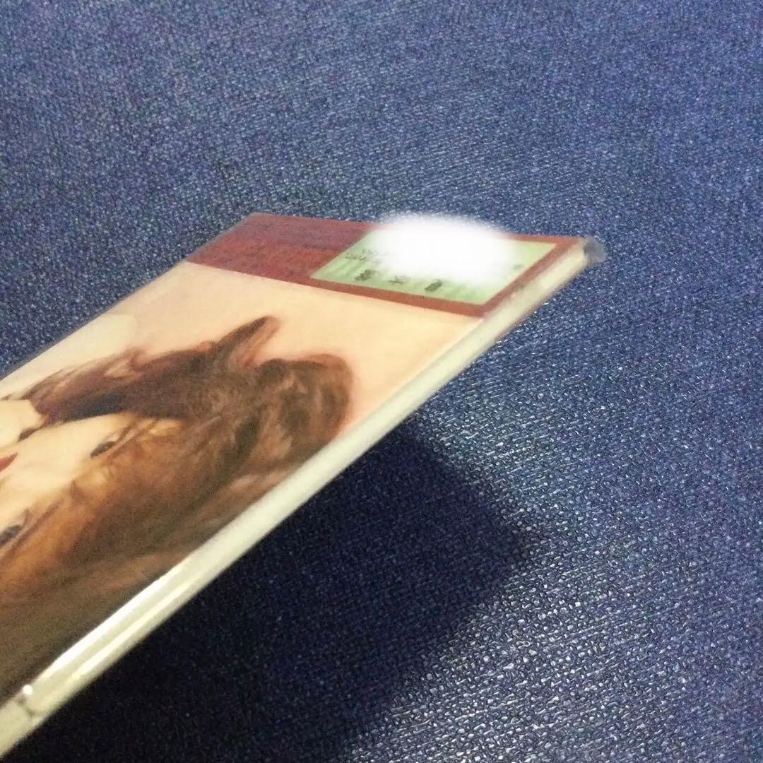 未開封　CD  松田聖子/あなたのすべてになりたい　8センチ8cm シングル