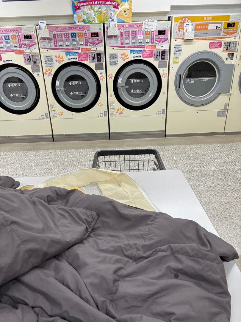 ブレイン スリープ コンフォー ター パーフェクト ウォーム デュアル　シングル