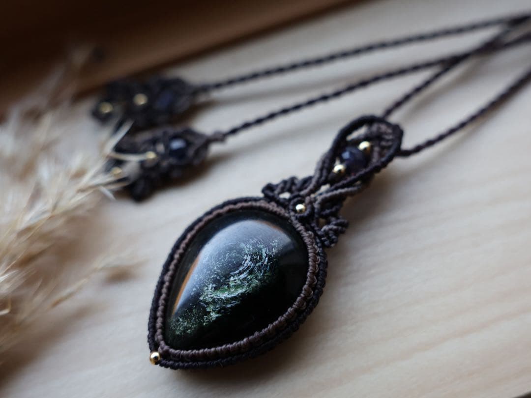 でんちゃん 11/8