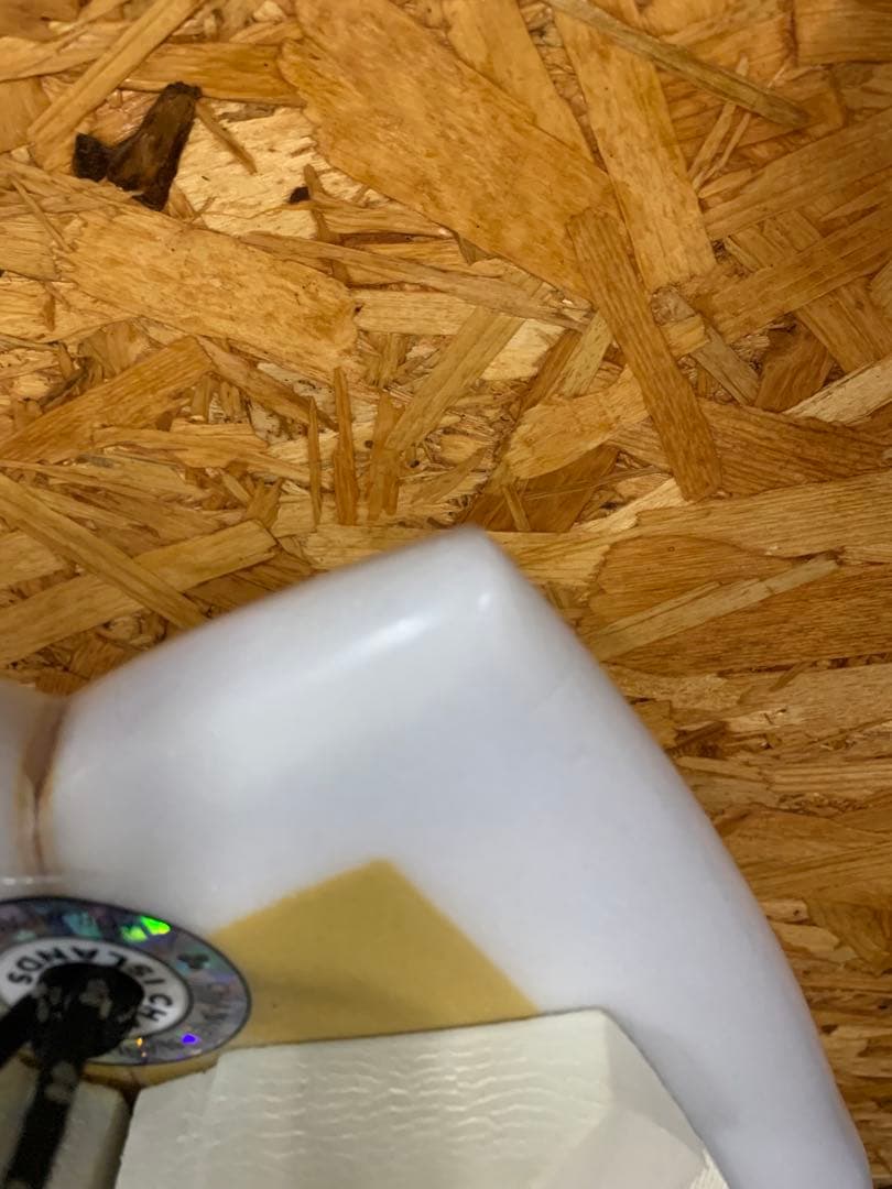 チャンネルアイランド　Gスケート　5.8 手渡し　　CI g skate