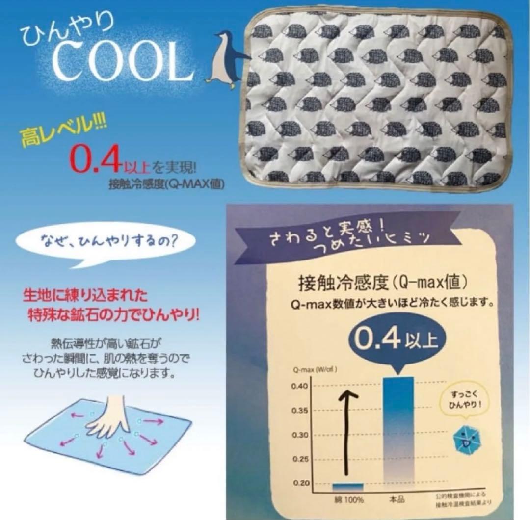 【23日まで値下げ中】おやすみたまご　本体　専用ベルト ひんやりミニパッド2枚