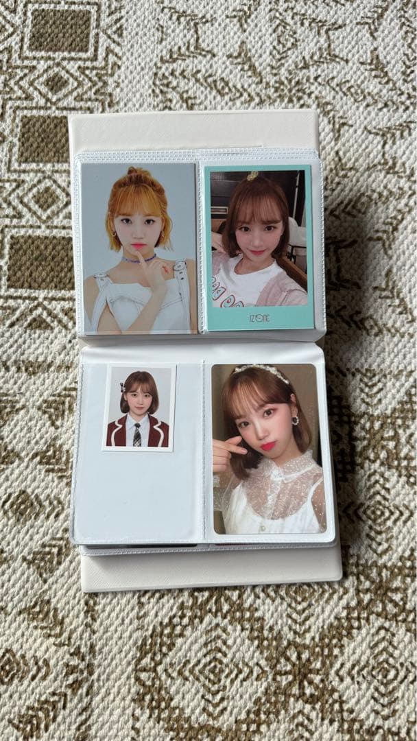 チェウォン トレカケース トレカ51枚セット 交通カード