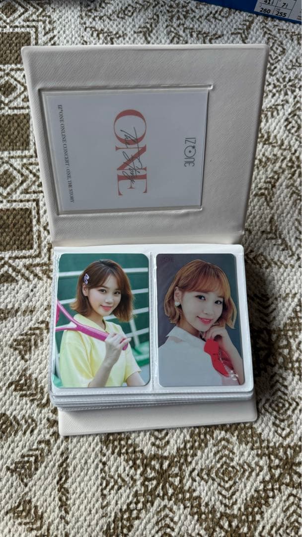 チェウォン トレカケース トレカ51枚セット 交通カード