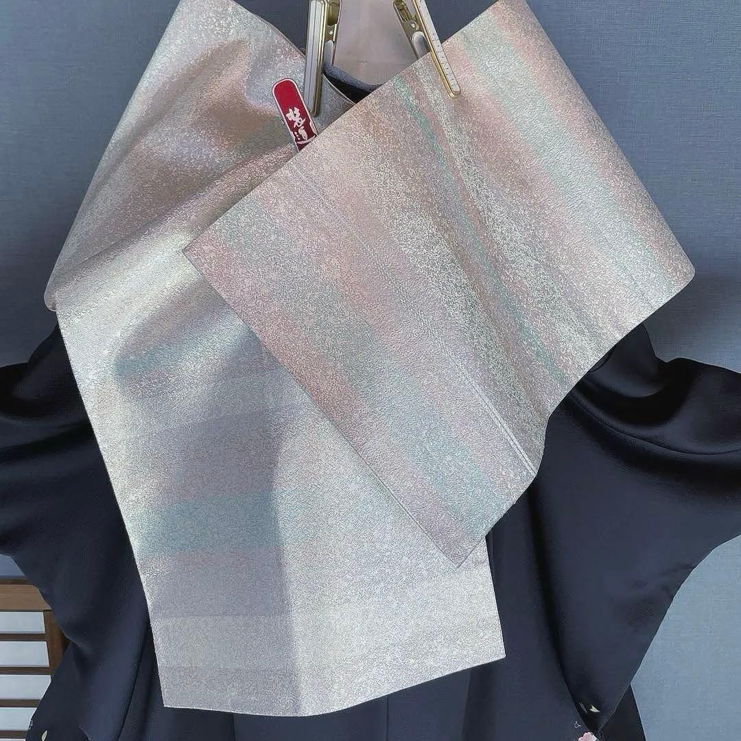 振袖フルセット　金彩加工友禅　成人式振袖　振袖　裄丈69 バタフライ