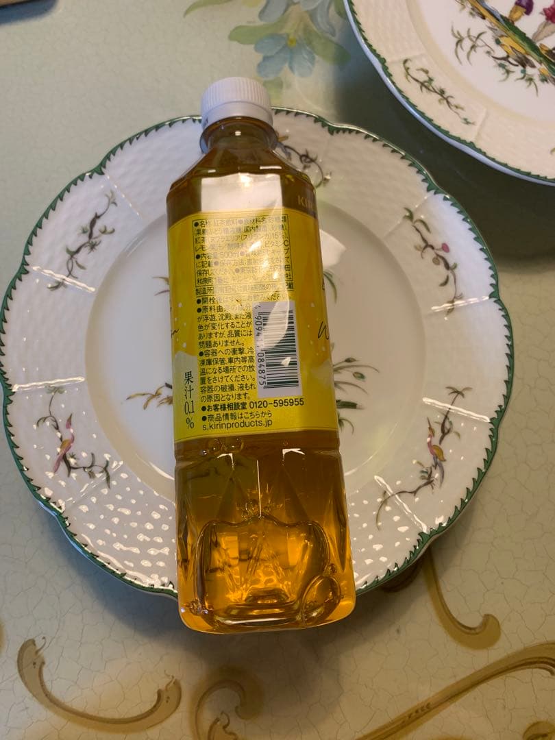 フランス製 手描き風景画の皿 6枚セット