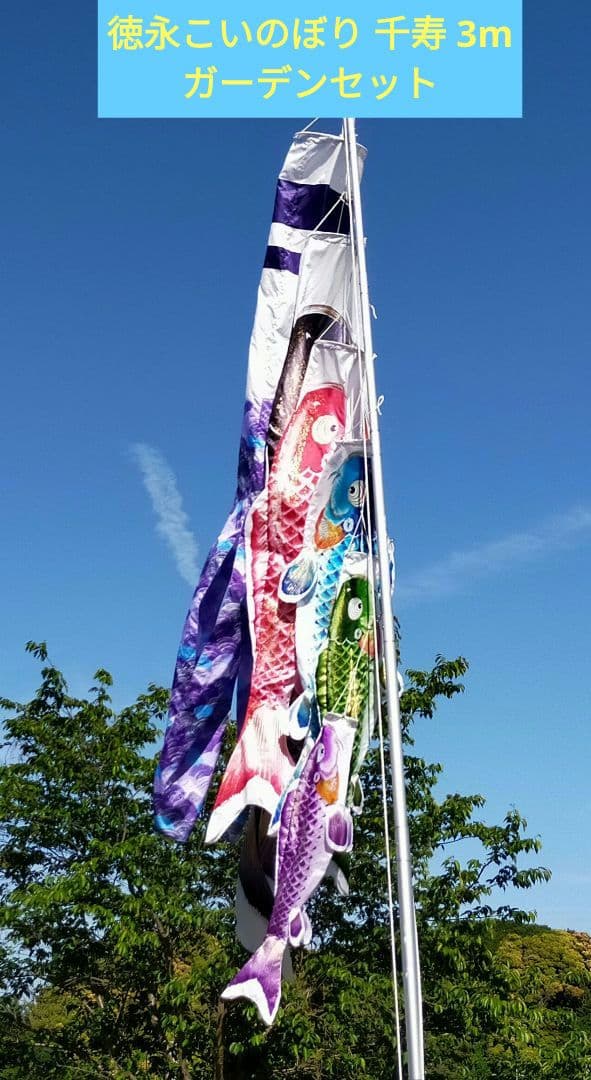 徳永こいのぼり 千寿 3mガーデンセット