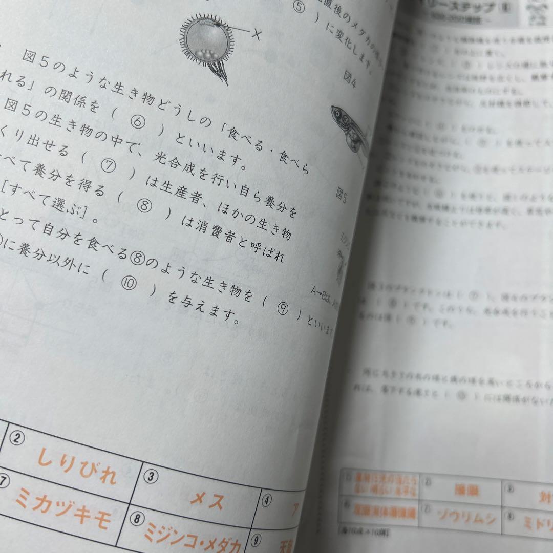 ㉓な　最新版2023年　ディリーサピックス　SAPIX 6年　理科　テキスト