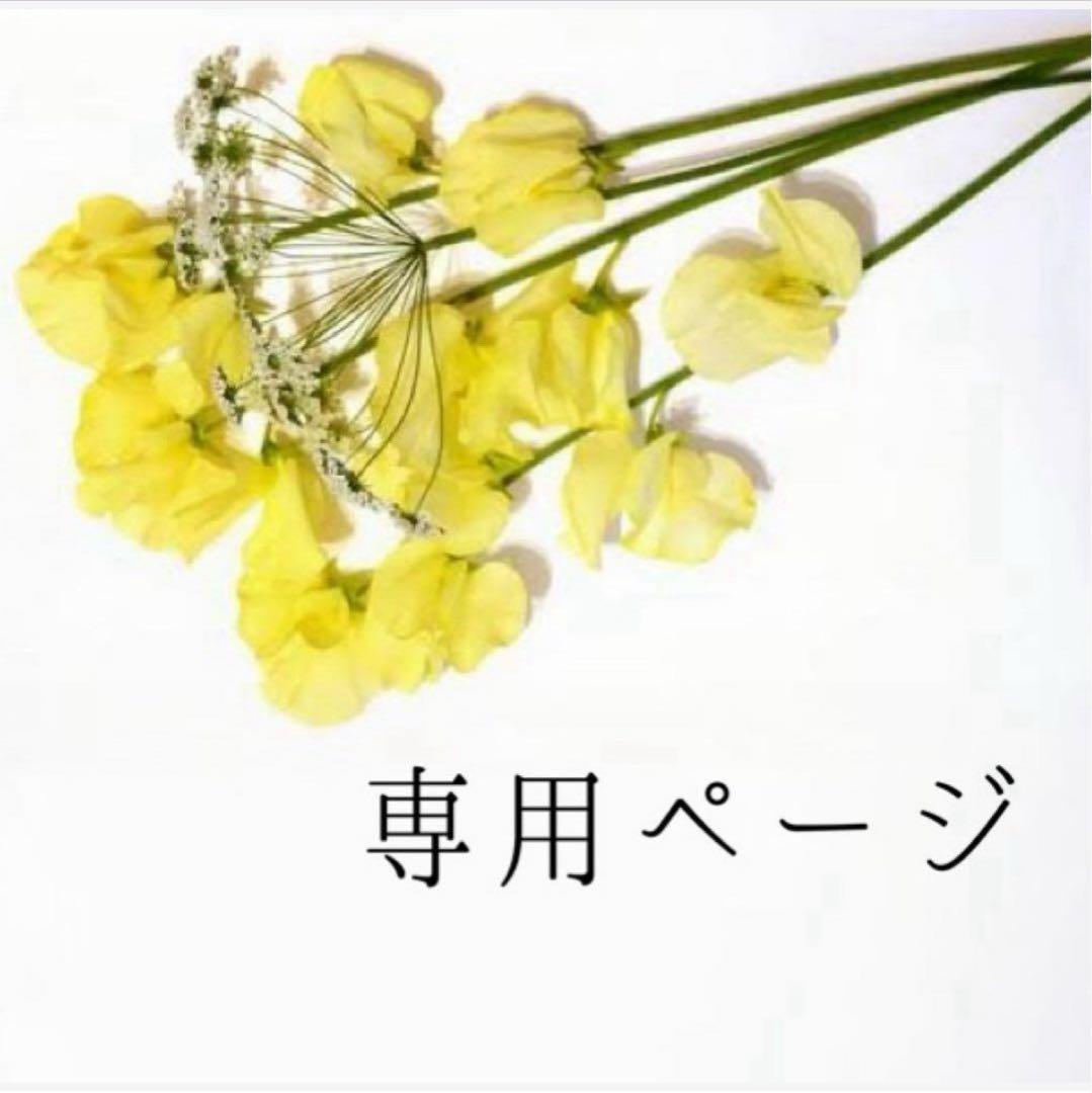 #manly様おまとめ購入