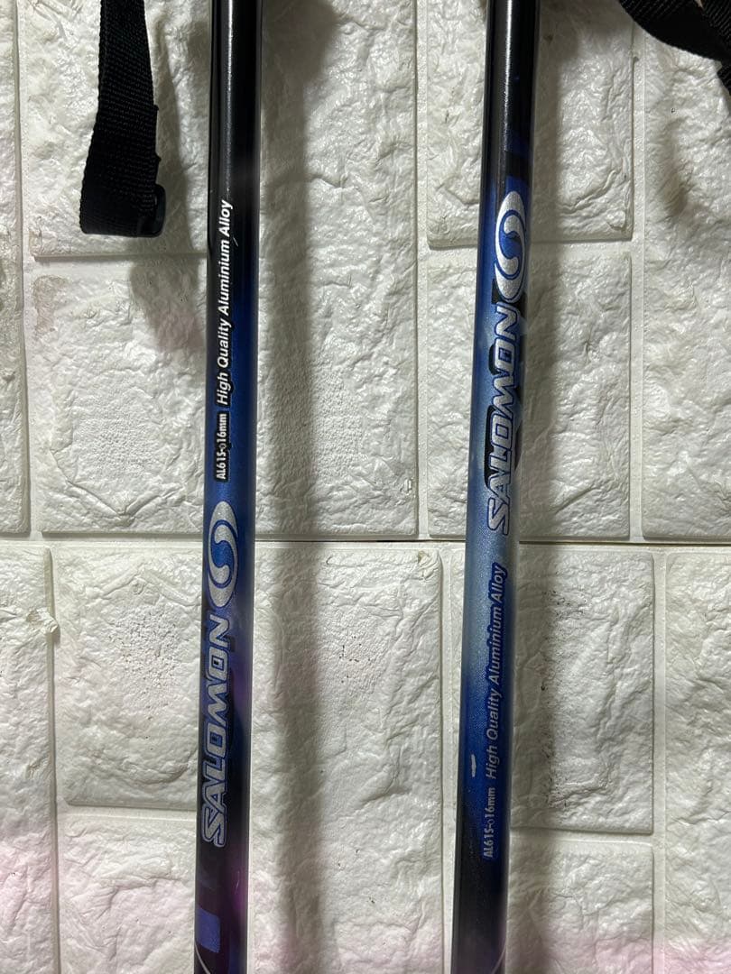 Elan freeline ショートスキー 125cm ストック付