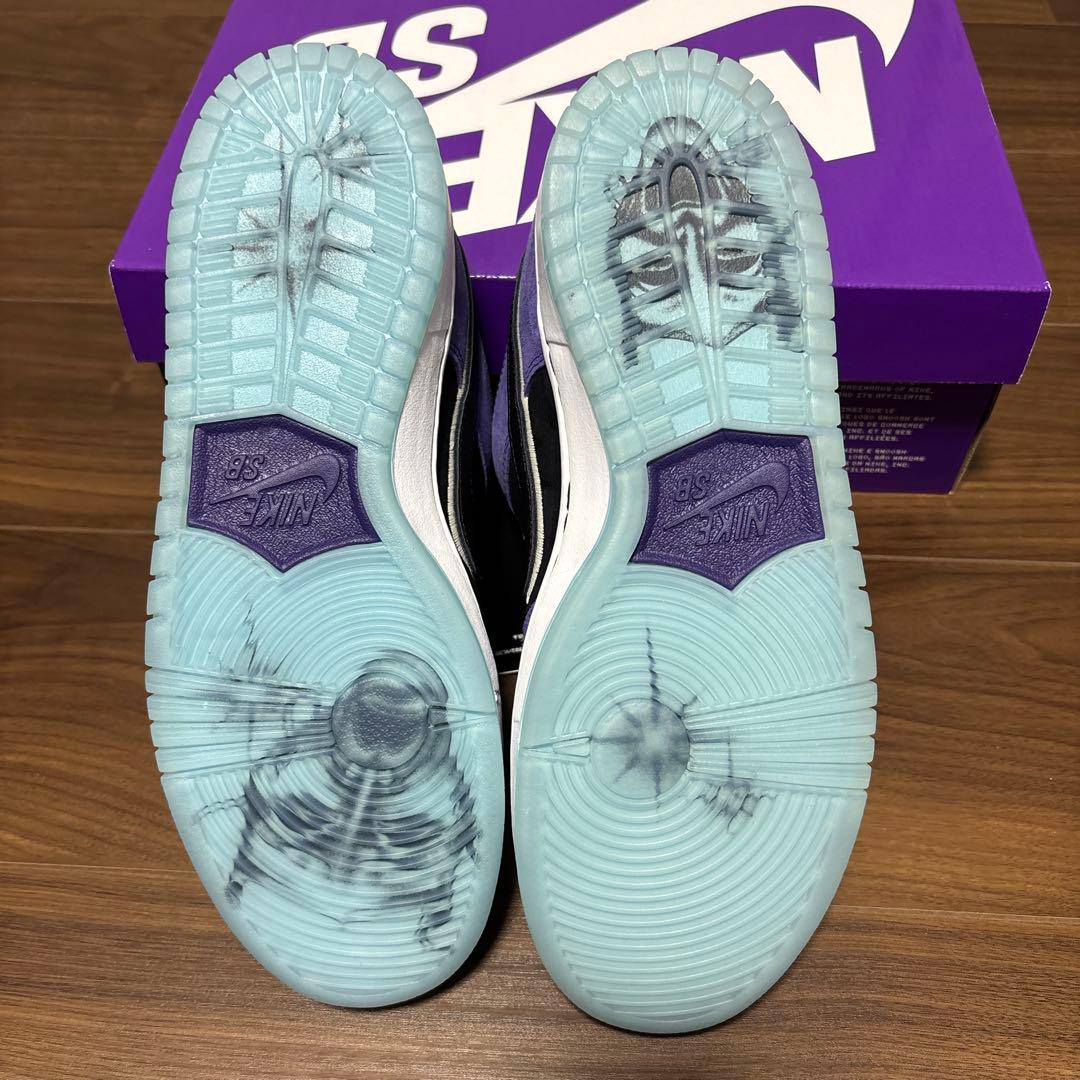 スケートボード NIKE SB DUNK