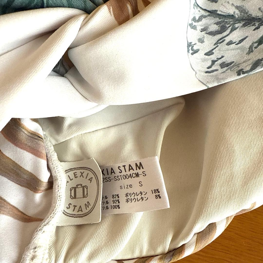 ☆ALEXIA STAM ビキニセットアップ☆上下Sサイズ