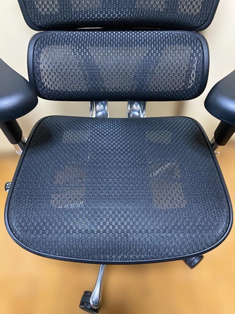 Ergohuman PRO2 High エルゴヒューマン プロ２