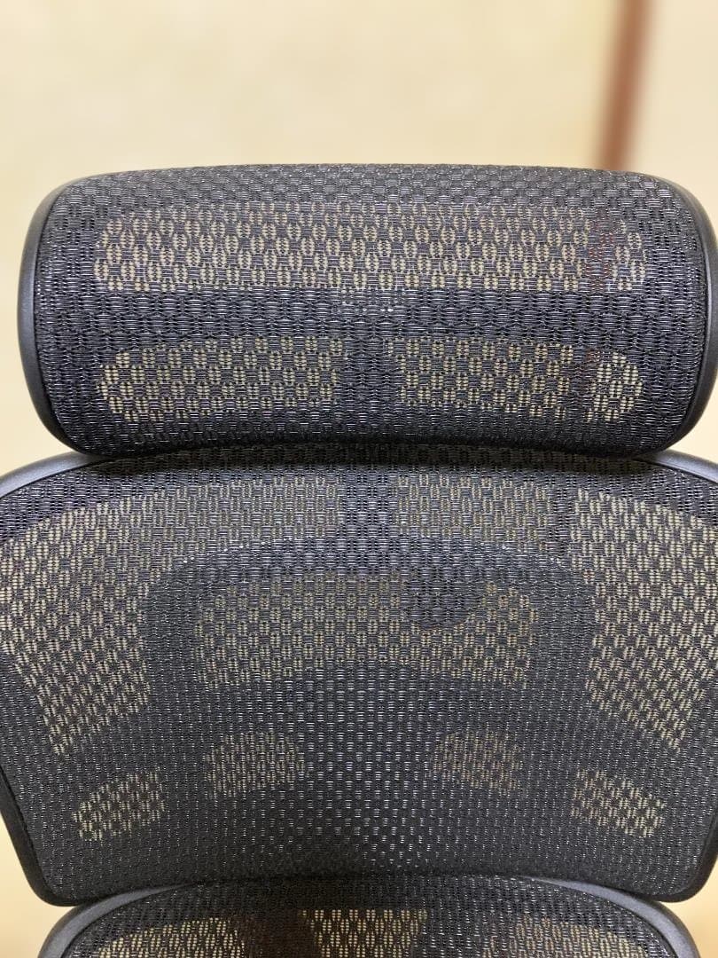 Ergohuman PRO2 High エルゴヒューマン プロ２