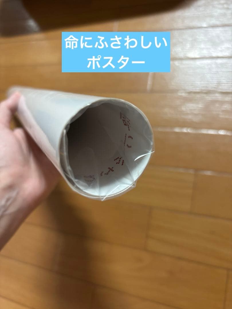 amazarashi 限定盤 CD DVD LP盤 服 グッズ等