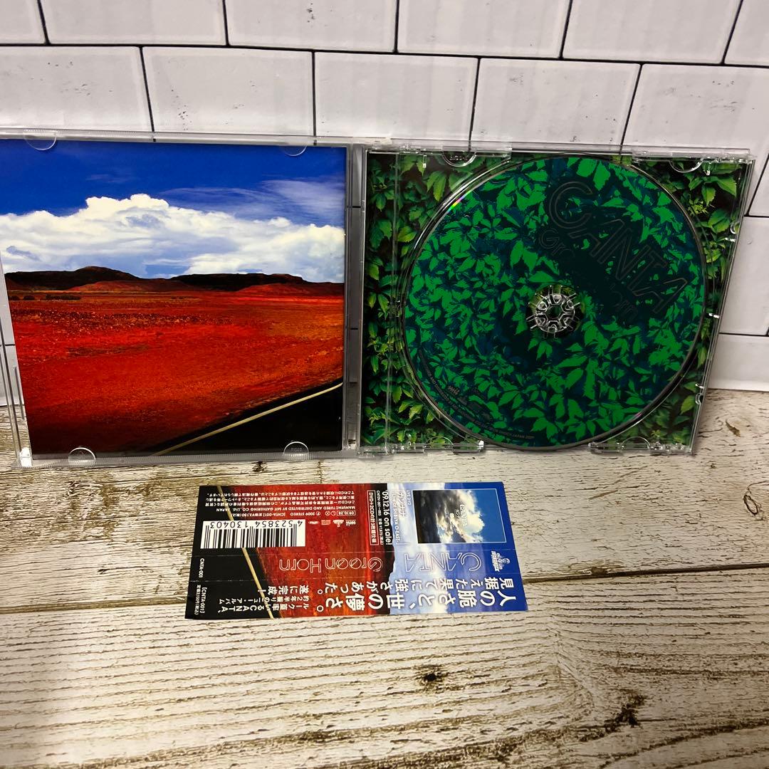 超激レア★帯付き★CD★CANTA ★Green Horn