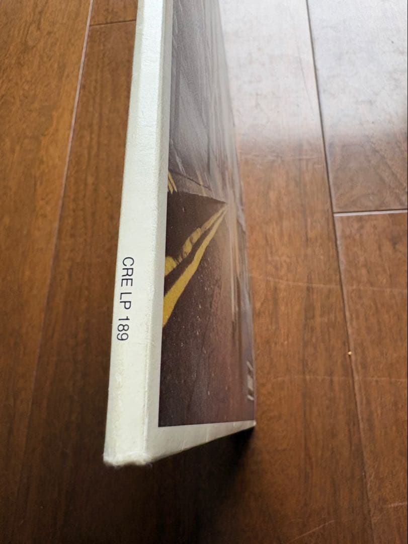 oasis オアシス LPレコード Morning Glory? UKオリジナル