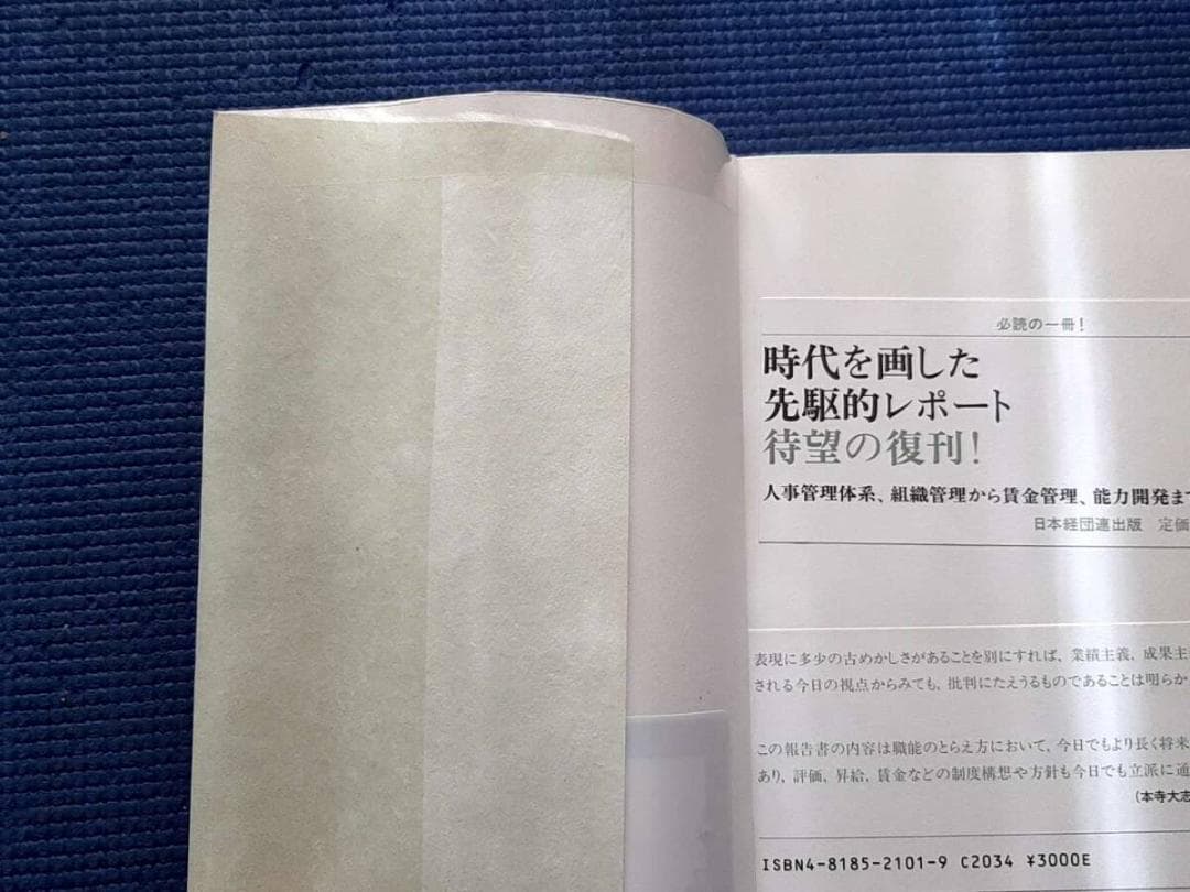 除籍本　 能力主義管理 その理論と実践 日本経団連出版 絶版