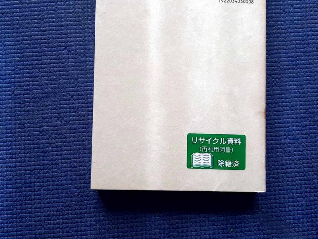 除籍本　 能力主義管理 その理論と実践 日本経団連出版 絶版