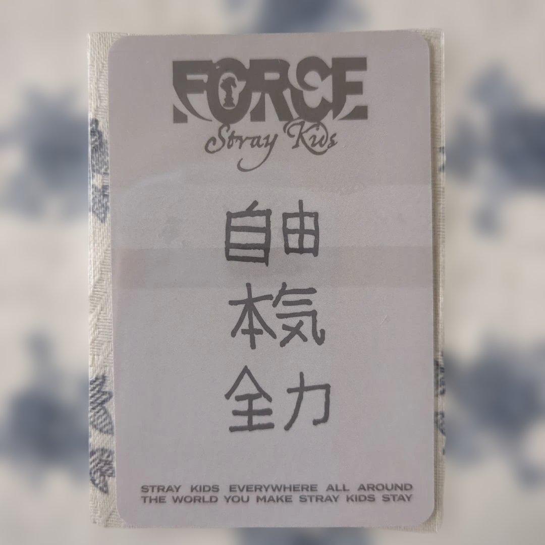 スキズ　シーグリー2026 FC特典トレカヒョンジン おまけカード付