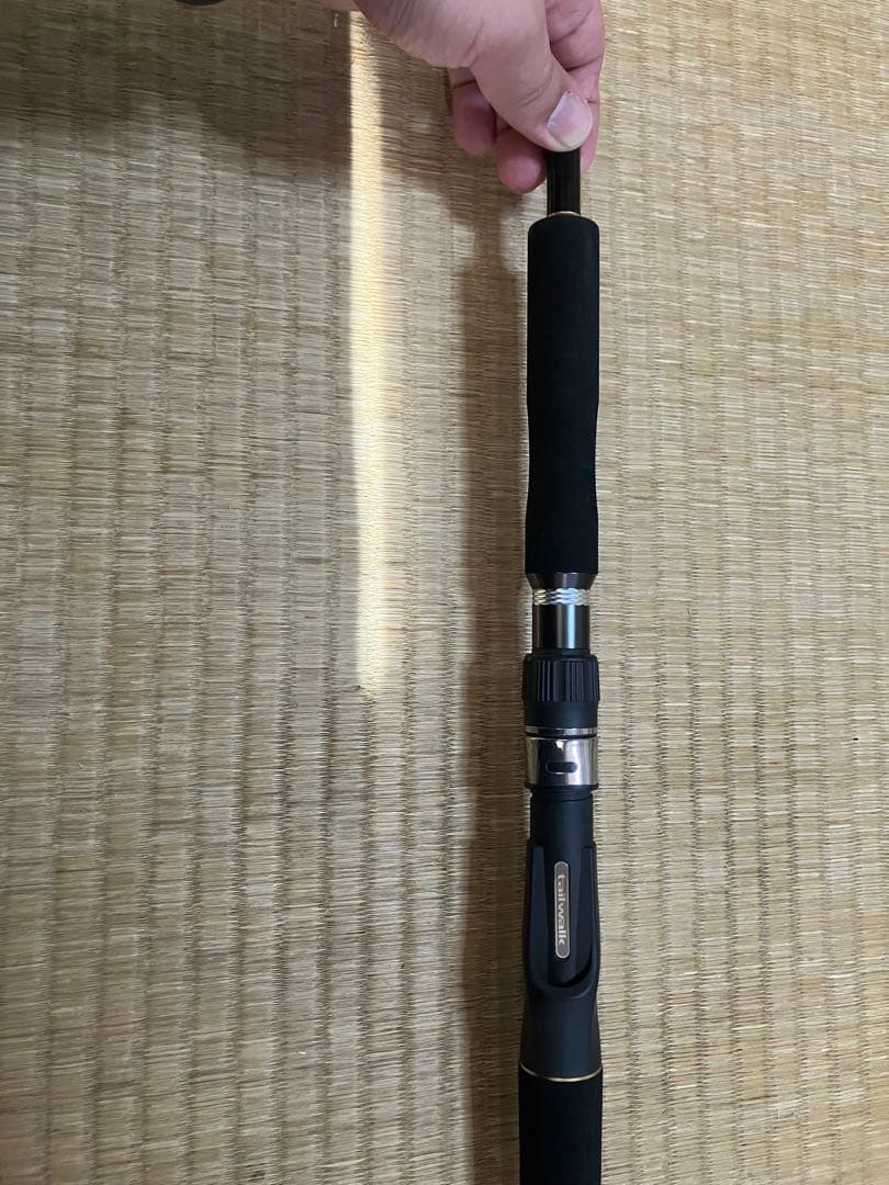 【専用】テイルウォーク　ジグフォースSSD C602