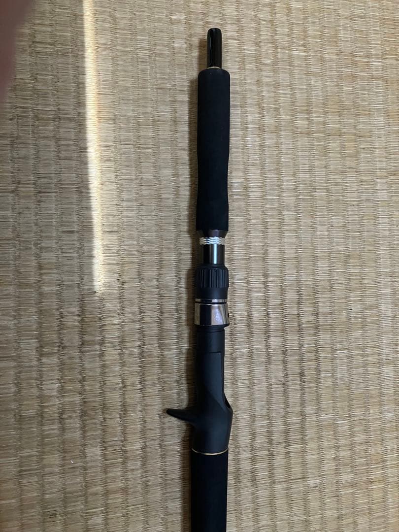 【専用】テイルウォーク　ジグフォースSSD C602