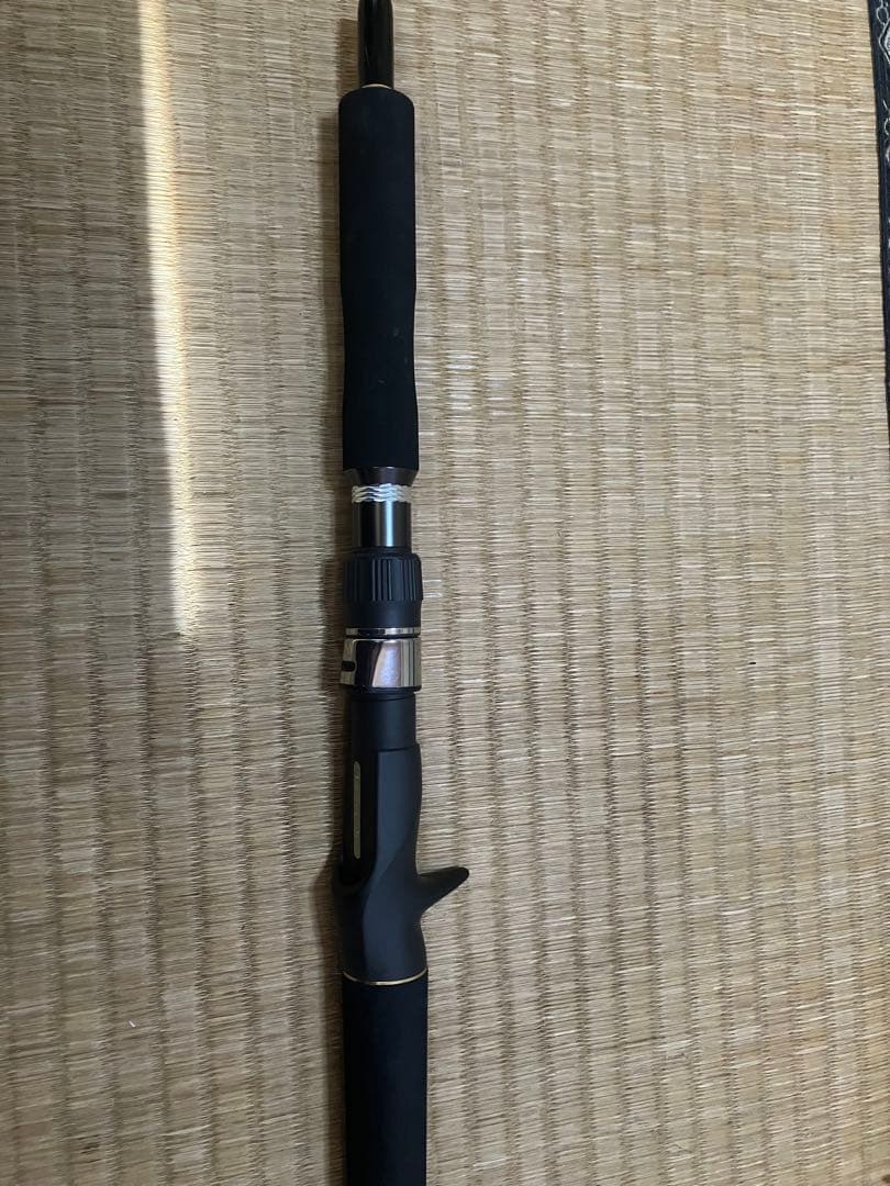 【専用】テイルウォーク　ジグフォースSSD C602