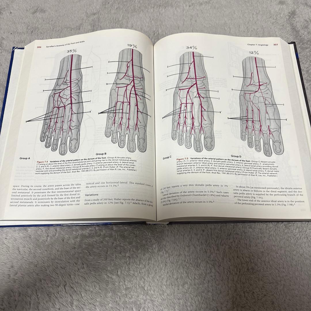 健康・医学 Sarrafian's Anatomy of the Foot & Ankle