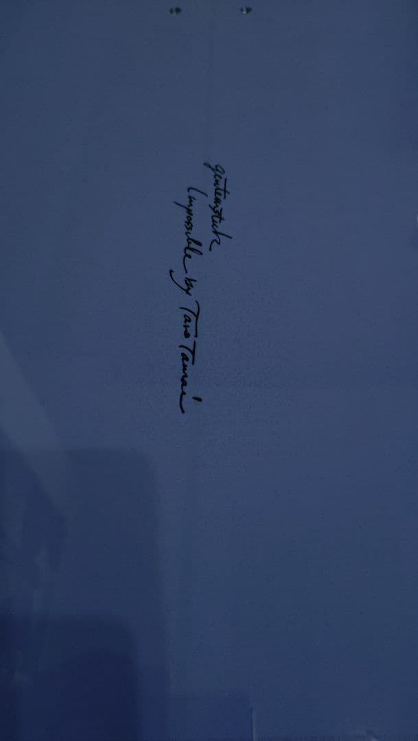 スノーボード GENTEMSTICK IMPOSSIBLE 25-26