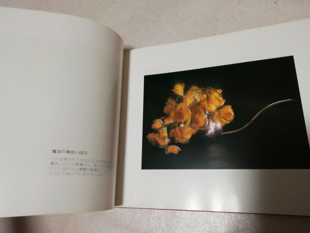 光と花　田子敦子　アートフラワー　本